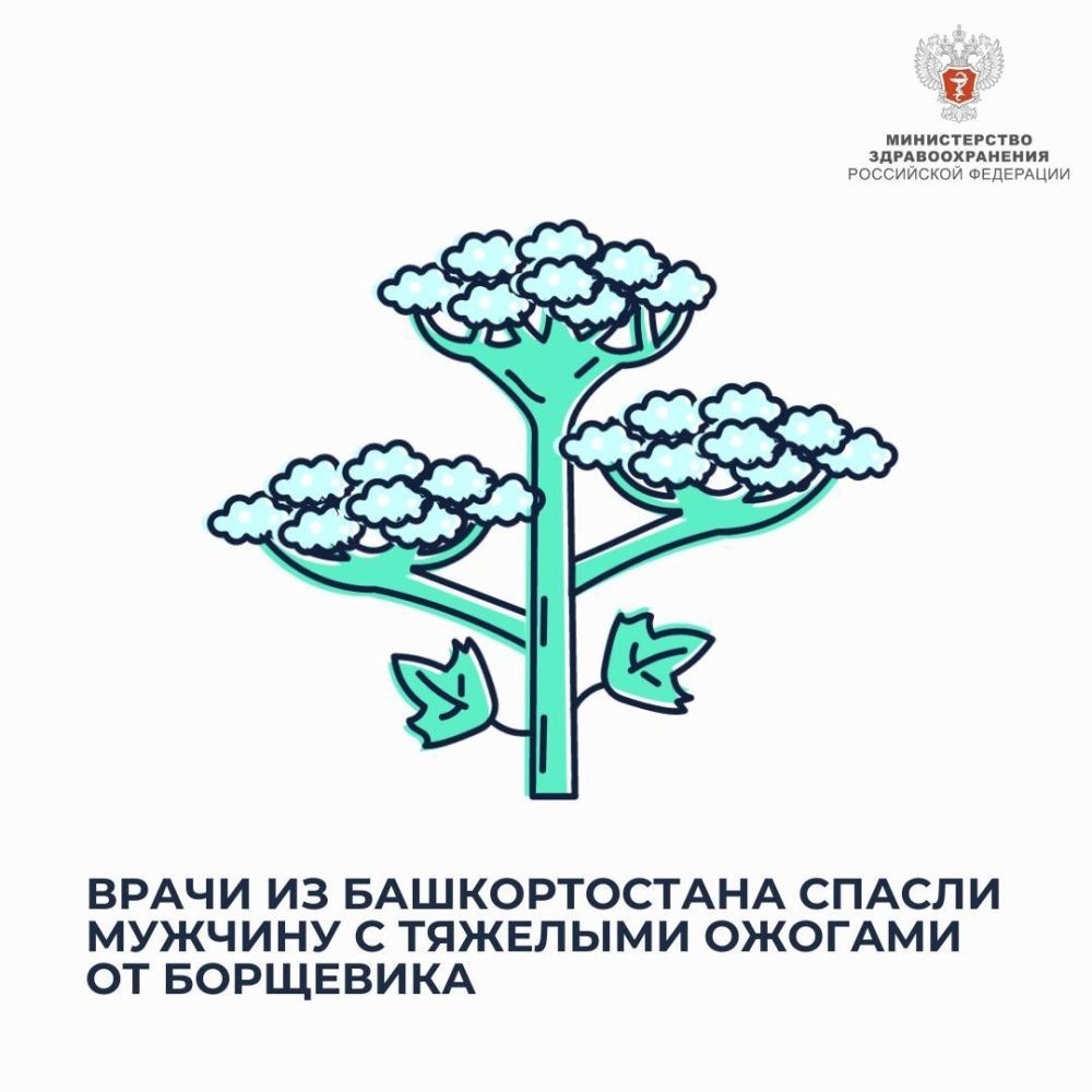Врачи из Башкортостана спасли мужчину с тяжелыми ожогами от борщевика